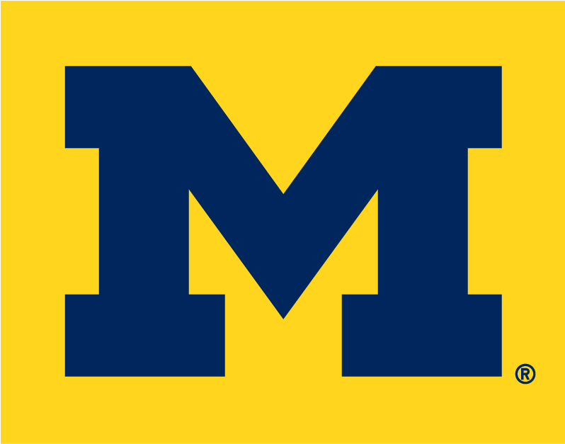 Michigan Wolverines 1996-Pres Alternate Logo v4 iron on transfers for fabric